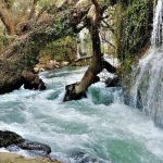 بهشت گمشده 2